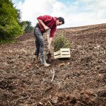 Plantation d'une nouvelle forêt